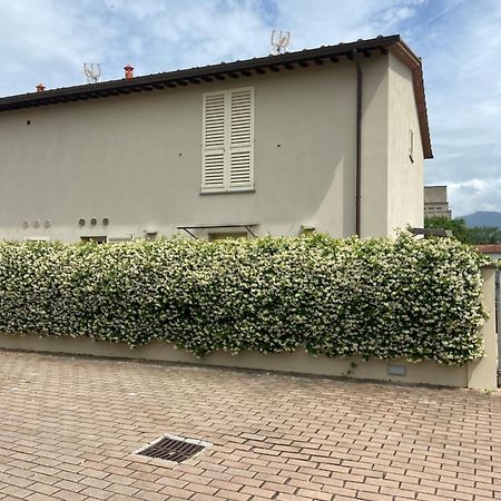 Casa Ariel Villa ลุคคา ภายนอก รูปภาพ
